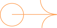 Initial Consultation & Business Requirement Analysis